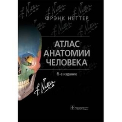 Анатомия и физиология