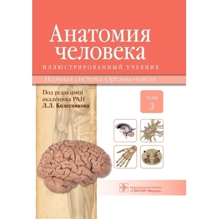 Анатомия человека : иллюстр. учебник : в 3 т. : Т. 3. Нервная система. Органы чувств М. : ГЭОТАР-Медиа, 2015.216 с. : ил. И. В. Гайворонский Л. Л. Колесников Г. И. 2015 г. (Гэотар) Анатомия человека : иллюстр. учебник : в 3 т. : Т. 3. Нервная система. Органы чувств М. : ГЭОТАР-Медиа, 2015.216 с. : ил. И. В. Гайворонский Л. Л. Колесников Г. И. 2015 г. (Гэотар)