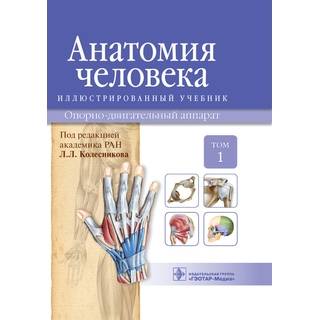 Анатомия человека : иллюстр. учебник : в 3 т. : Т. 1. Опорно-двигательный аппарат. И. В. Гайворонский Л. Л. Колесников Г. И. 2014 г. (Гэотар)