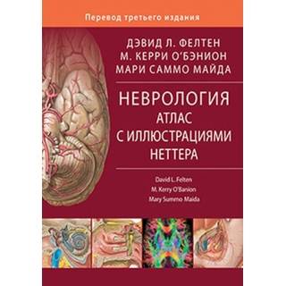 Неврология. Атлас с иллюстрациями Неттера Фелтен 2018 г. (Издательство Панфилова)