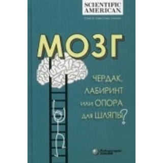 Мозг: чердак, лабиринт или опора для шляпы? под. ред. Таккер К. 2020 г. (Лаборатория знаний) Мозг: чердак, лабиринт или опора для шляпы? под. ред. Таккер К. 2020 г. (Лаборатория знаний)