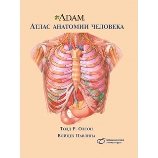 Атлас анатомии человека. A.D.A.M. Тодд Р. Олсон 2012 г. (Медицинская литература) Атлас анатомии человека. A.D.A.M. Тодд Р. Олсон 2012 г. (Медицинская литература)