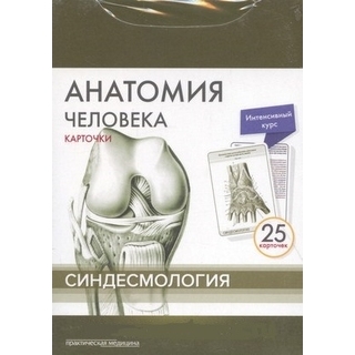 Анатомия человека: КАРТОЧКИ (25шт). Синдесмология. Русские и латинские названия анатомических структур Сапин М.Р. 2017 г. (Практическая медицина) Анатомия человека: КАРТОЧКИ (25шт). Синдесмология. Русские и латинские названия анатомических структур Сапин М.Р. 2017 г. (Практическая медицина)