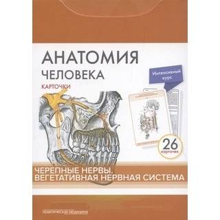 Анатомия человека: КАРТОЧКИ (26 шт). Черепные нервы. Вегетативная нервная система Сапин М.Р. 2018 г. (Практическая медицина)