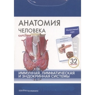 Анатомия человека: КАРТОЧКИ (32шт). Иммунная, лимфатическая и эндокринная системы Сапин М.Р. 2017 г. (Практическая медицина) Анатомия человека: КАРТОЧКИ (32шт). Иммунная, лимфатическая и эндокринная системы Сапин М.Р. 2017 г. (Практическая медицина)
