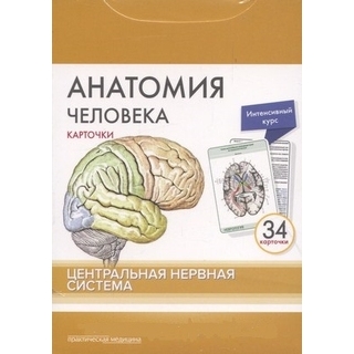 Анатомия человека: КАРТОЧКИ (34 шт). Центральная нервная система Сапин М.Р. 2018 г. (Практическая медицина) Анатомия человека: КАРТОЧКИ (34 шт). Центральная нервная система Сапин М.Р. 2018 г. (Практическая медицина)