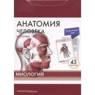 Анатомия человека: КАРТОЧКИ (43шт). Миология. Русские и латинские названия анатомических структур Сапин М.Р. 2019 г. (Практическая медицина) Анатомия человека: КАРТОЧКИ (43шт). Миология. Русские и латинские названия анатомических структур Сапин М.Р. 2019 г. (Практическая медицина)