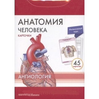 Анатомия человека: КАРТОЧКИ (45шт). Ангиология. Русские и латинские названия анатомических структур Сапин М.Р. 2017 г. (Практическая медицина) Анатомия человека: КАРТОЧКИ (45шт). Ангиология. Русские и латинские названия анатомических структур Сапин М.Р. 2017 г. (Практическая медицина)