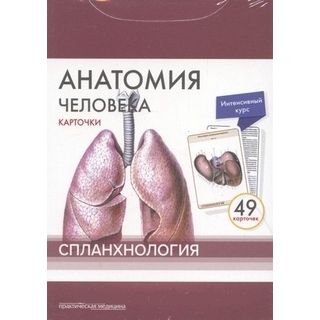 Анатомия человека: КАРТОЧКИ (49шт). Спланхология. Русские и латинские названия анатомических структур Сапин М.Р. 2017 г. (Практическая медицина) Анатомия человека: КАРТОЧКИ (49шт). Спланхология. Русские и латинские названия анатомических структур Сапин М.Р. 2017 г. (Практическая медицина)