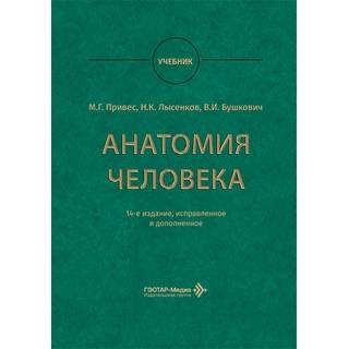Анатомия человека : учебник. 14-е изд.. М. Г. Привес 2026 г. (Гэотар)