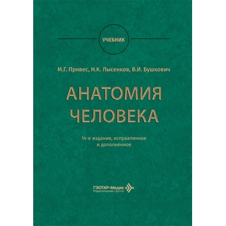 Анатомия человека : учебник. 14-е изд.. М. Г. Привес 2026 г. (Гэотар) Анатомия человека : учебник. 14-е изд.. М. Г. Привес 2026 г. (Гэотар)